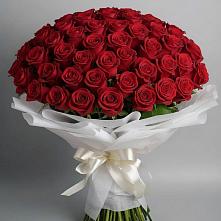 Букет 101 Красная роза Блэк Мэджик в Тамбовке