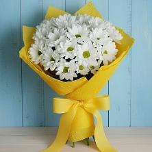 Букет цветов из:  Хризантемы в Тамбовке