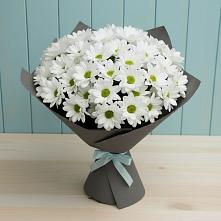 Букет цветов из:  Хризантемы в Тамбовке