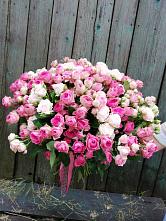 Букет Розовые кустовые розы Натали и Лав Лидия #REPLACE_PRED# Тамбовке