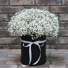 Цветочная композиция из Гипсофила в шляпной коробке в Тамбовке