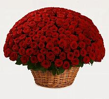 Премиум букет из: Розы в Тамбовке