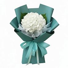 Букет цветов из:  Гортензия в Тамбовке